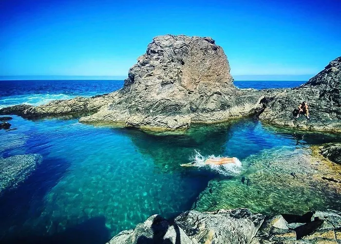 Olas De Lobos