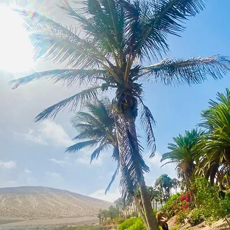 Olas De Lobos Corralejo